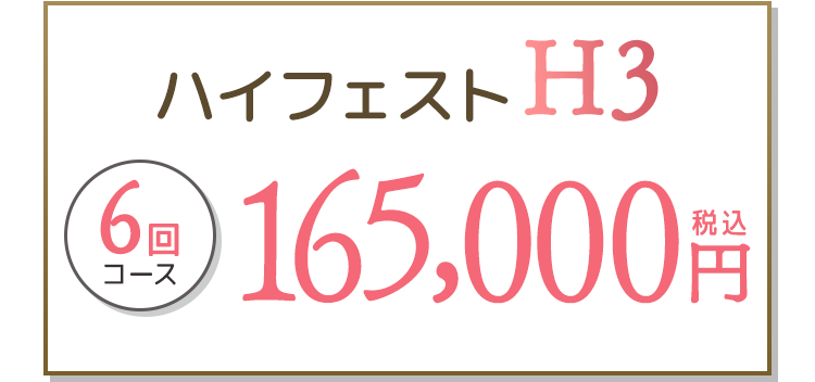 ハイフェストH3 6回コース 165,000円(税込)